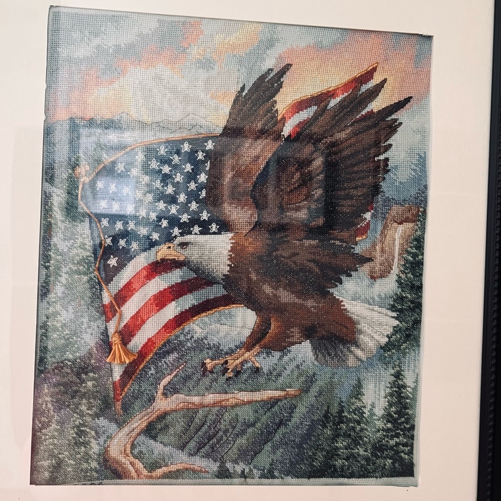 Completed Eagle USA Cross Stitch
